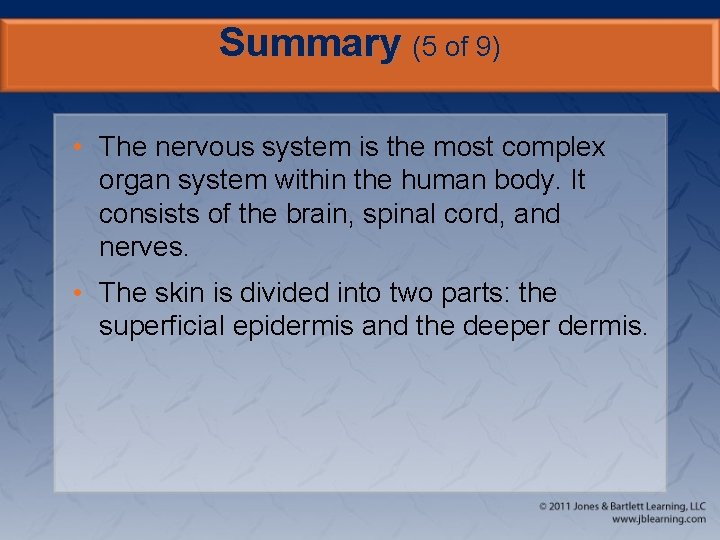 Summary (5 of 9) • The nervous system is the most complex organ system