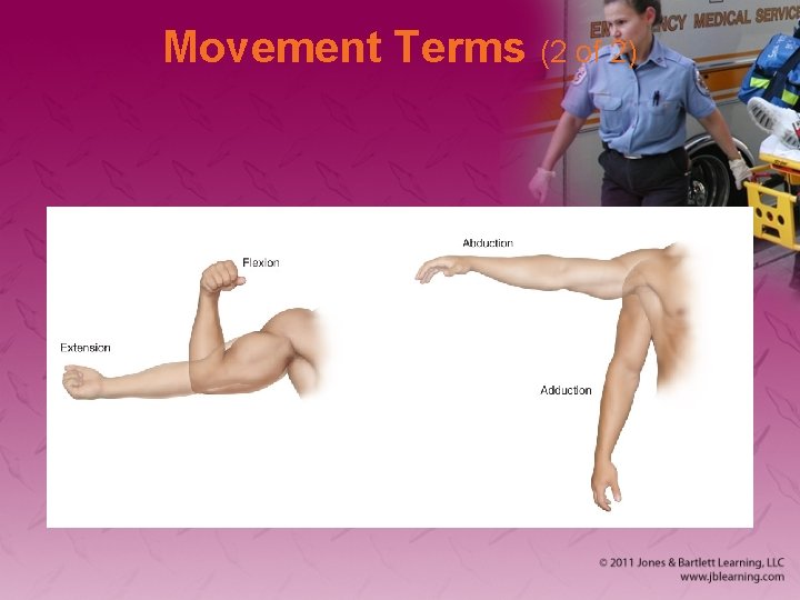 Movement Terms (2 of 2) 