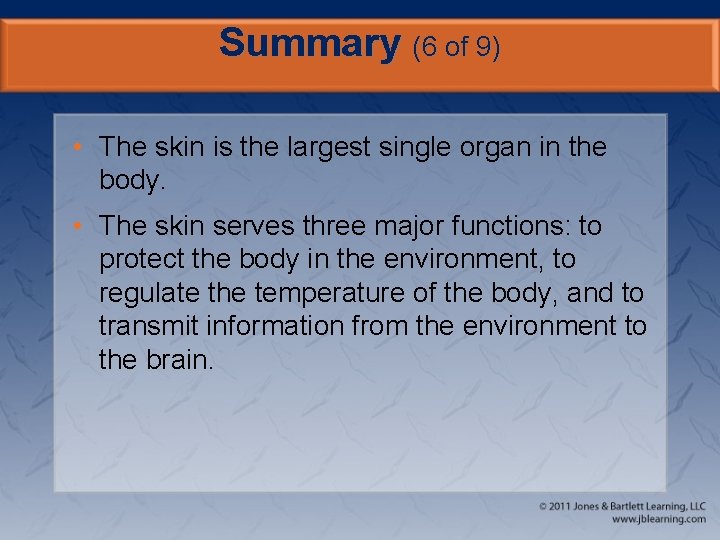 Summary (6 of 9) • The skin is the largest single organ in the