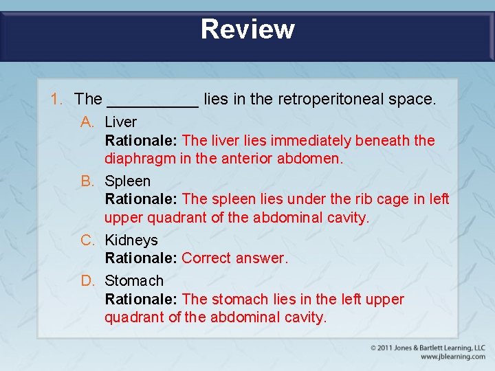 Review 1. The _____ lies in the retroperitoneal space. A. Liver Rationale: The liver