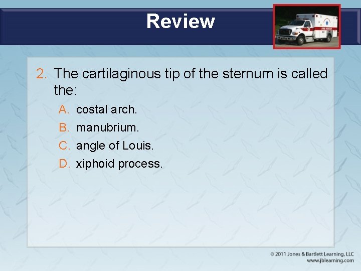 Review 2. The cartilaginous tip of the sternum is called the: A. B. C.