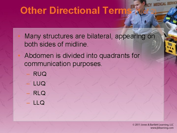 Other Directional Terms (1 of 2) • Many structures are bilateral, appearing on both