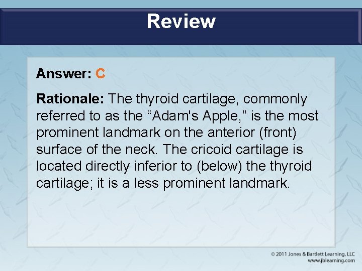 Review Answer: C Rationale: The thyroid cartilage, commonly referred to as the “Adam's Apple,