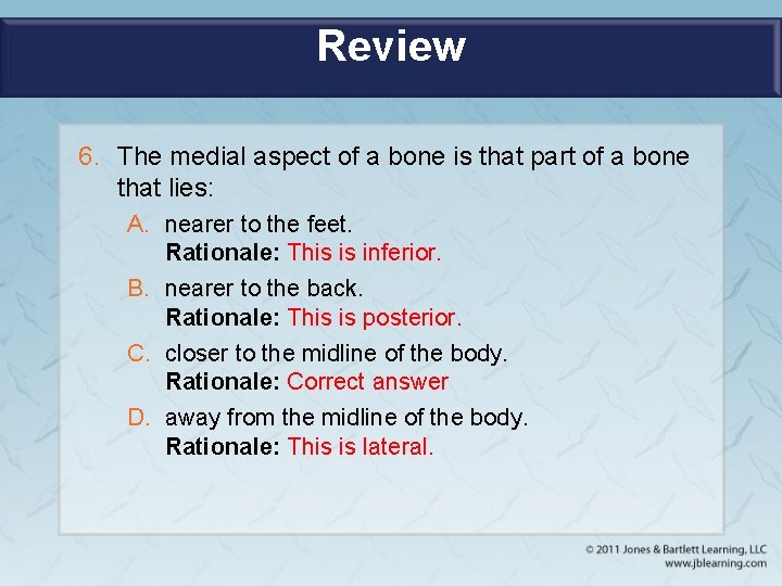 Review 6. The medial aspect of a bone is that part of a bone
