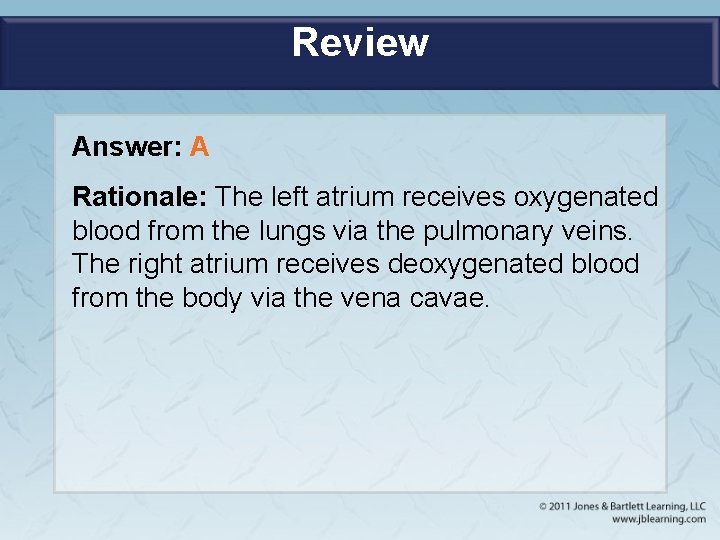 Review Answer: A Rationale: The left atrium receives oxygenated blood from the lungs via