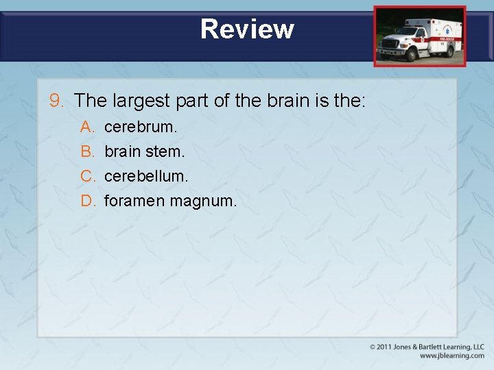 Review 9. The largest part of the brain is the: A. B. C. D.