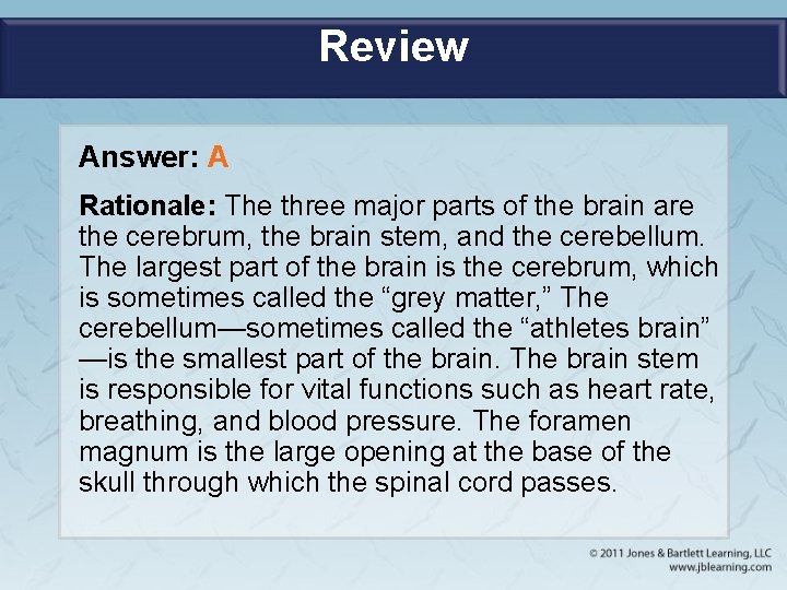 Review Answer: A Rationale: The three major parts of the brain are the cerebrum,
