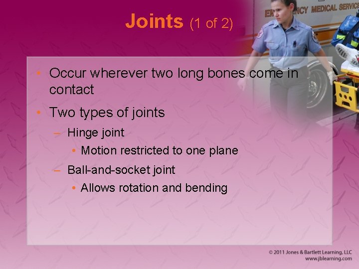 Joints (1 of 2) • Occur wherever two long bones come in contact •