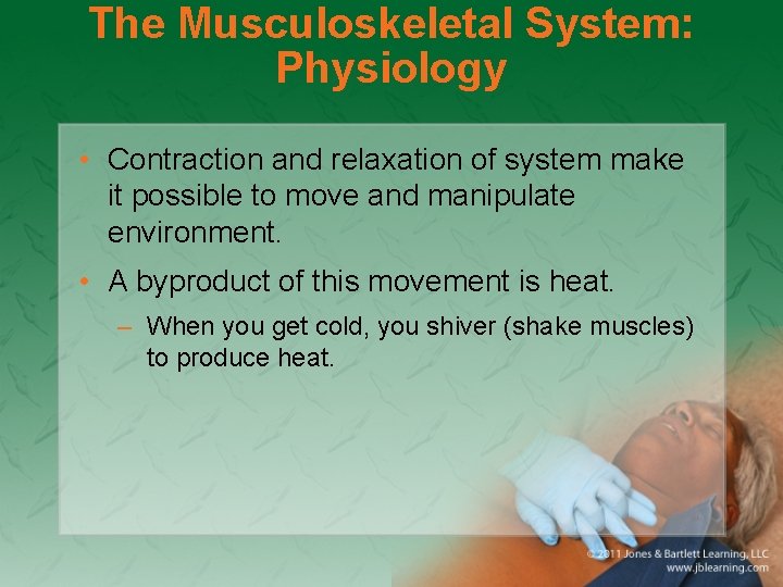The Musculoskeletal System: Physiology • Contraction and relaxation of system make it possible to