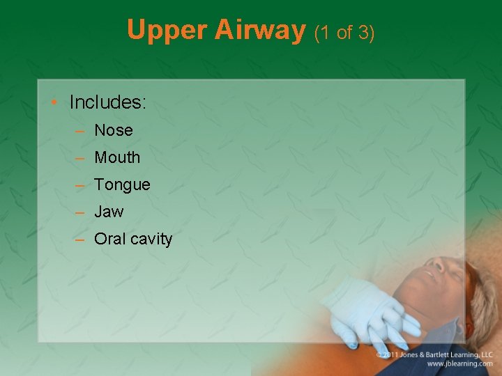 Upper Airway (1 of 3) • Includes: – Nose – Mouth – Tongue –