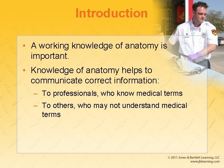Introduction • A working knowledge of anatomy is important. • Knowledge of anatomy helps