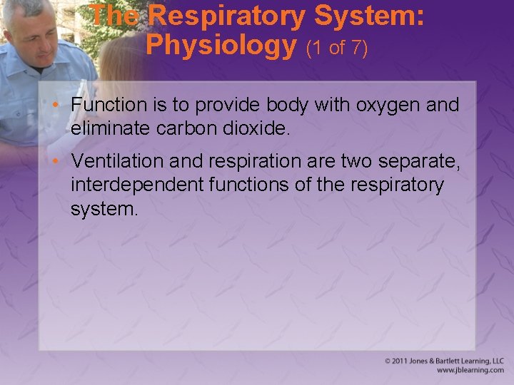 The Respiratory System: Physiology (1 of 7) • Function is to provide body with