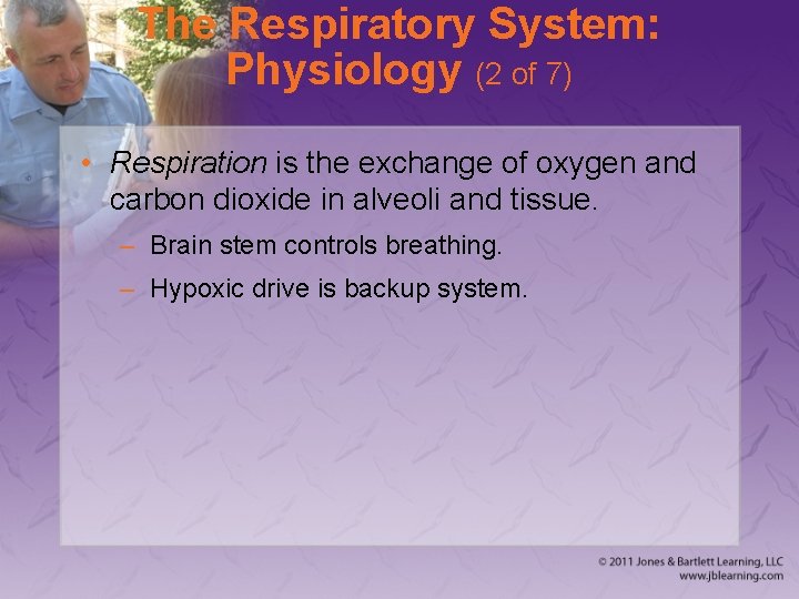 The Respiratory System: Physiology (2 of 7) • Respiration is the exchange of oxygen