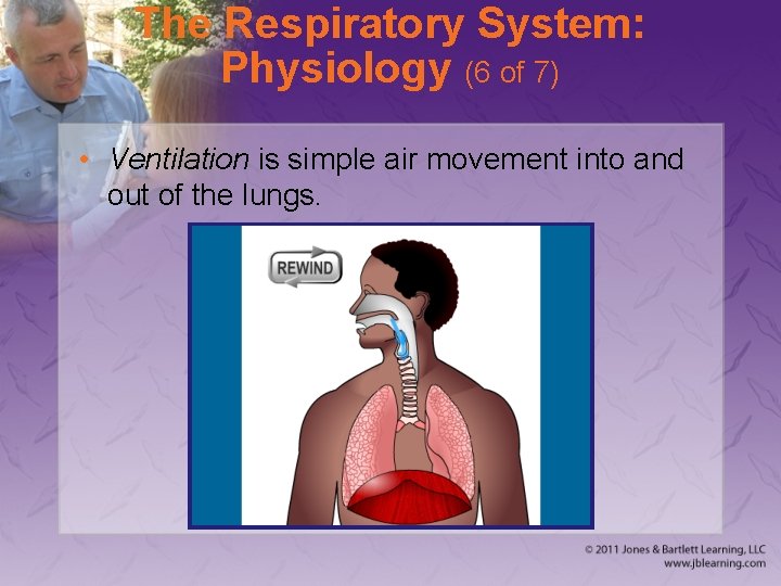 The Respiratory System: Physiology (6 of 7) • Ventilation is simple air movement into