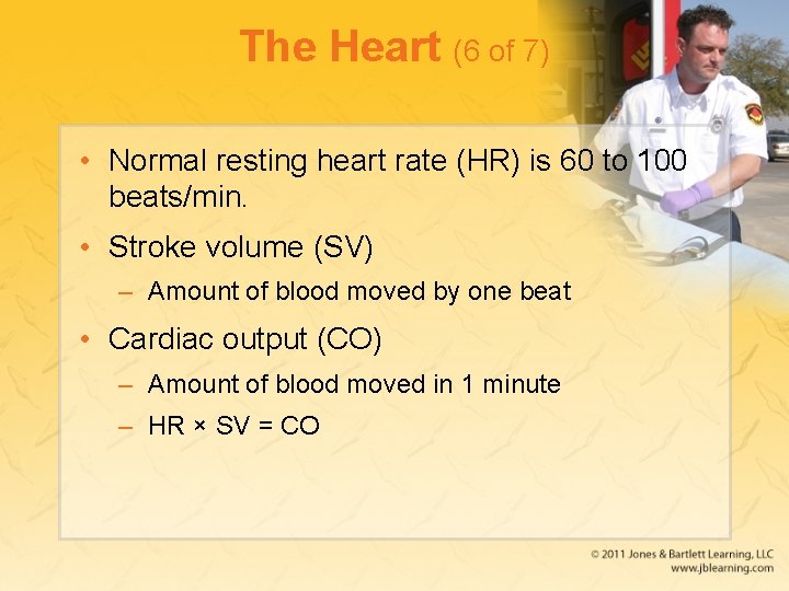 The Heart (6 of 7) • Normal resting heart rate (HR) is 60 to