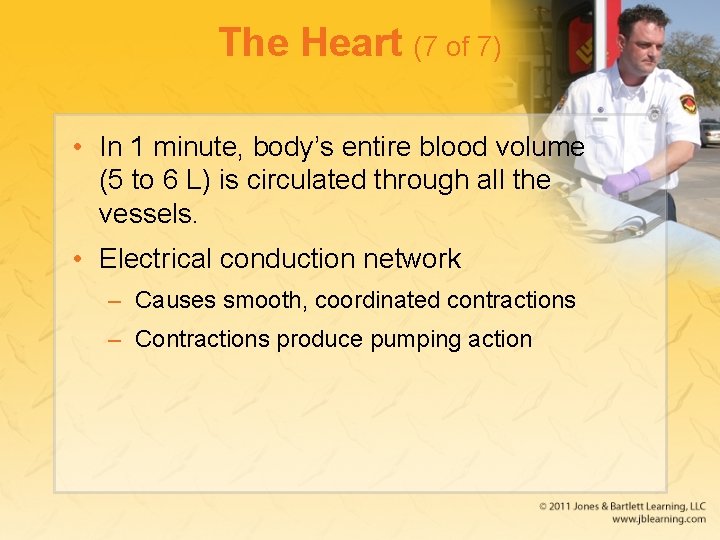 The Heart (7 of 7) • In 1 minute, body’s entire blood volume (5