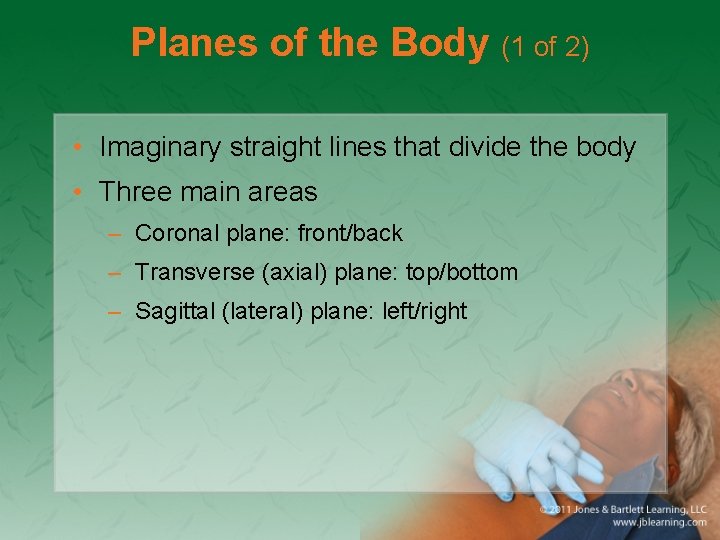 Planes of the Body (1 of 2) • Imaginary straight lines that divide the