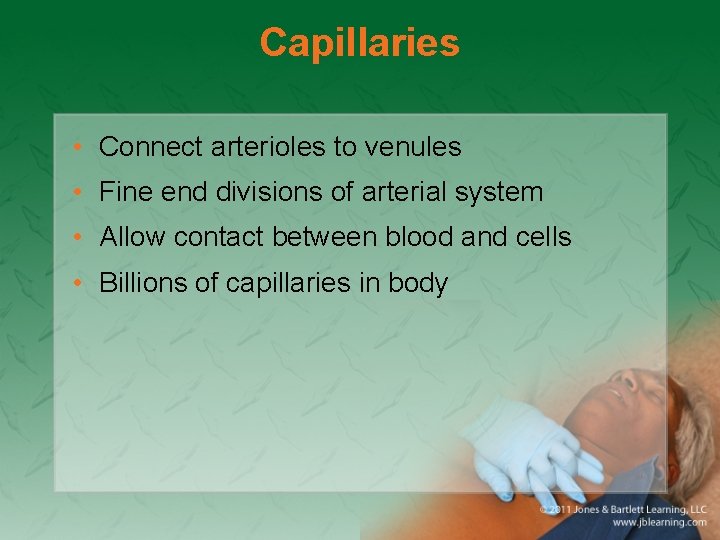Capillaries • Connect arterioles to venules • Fine end divisions of arterial system •