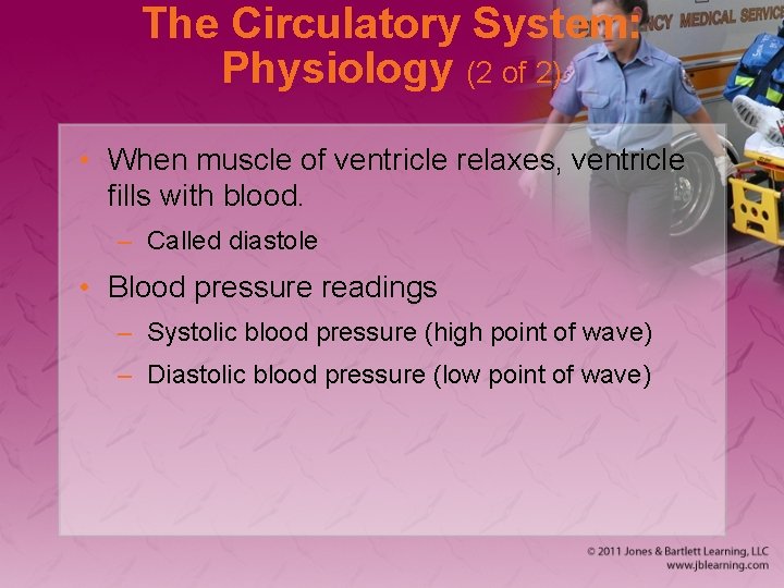 The Circulatory System: Physiology (2 of 2) • When muscle of ventricle relaxes, ventricle