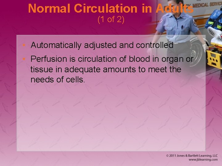 Normal Circulation in Adults (1 of 2) • Automatically adjusted and controlled • Perfusion