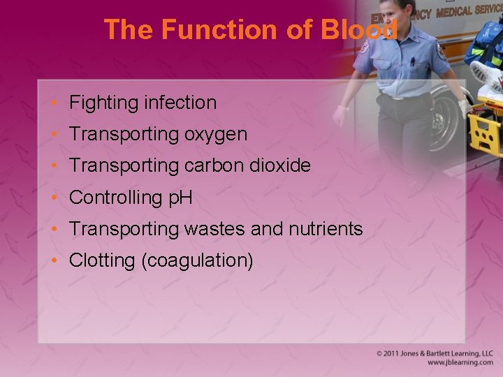The Function of Blood • Fighting infection • Transporting oxygen • Transporting carbon dioxide
