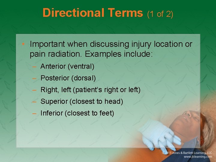 Directional Terms (1 of 2) • Important when discussing injury location or pain radiation.