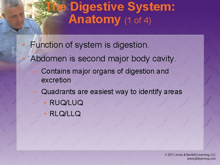 The Digestive System: Anatomy (1 of 4) • Function of system is digestion. •