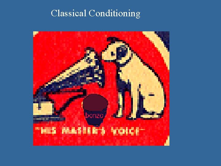 Classical Conditioning  Classical Conditioning