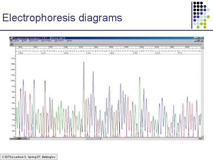 Electrophoresis diagrams CS 273 a Lecture 3, Spring 07, Batzoglou 
