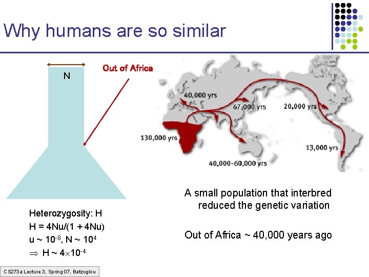 Why humans are so similar N Out of Africa Heterozygosity: H H = 4