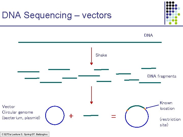 DNA Sequencing – vectors DNA Shake DNA fragments Vector Circular genome (bacterium, plasmid) CS