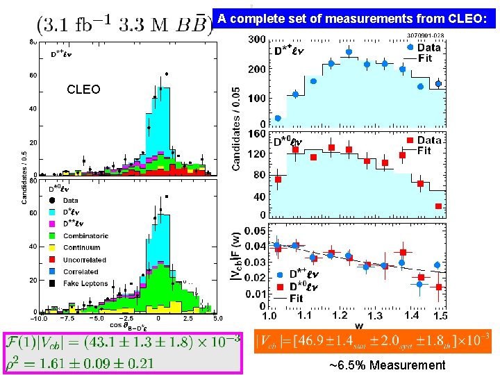 A complete set of measurements from CLEO: CLEO ~6. 5% Measurement 