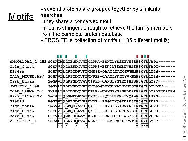 13 (c) M Gerstein '14, Gerstein. Lab. org, Yale Motifs - several proteins are
