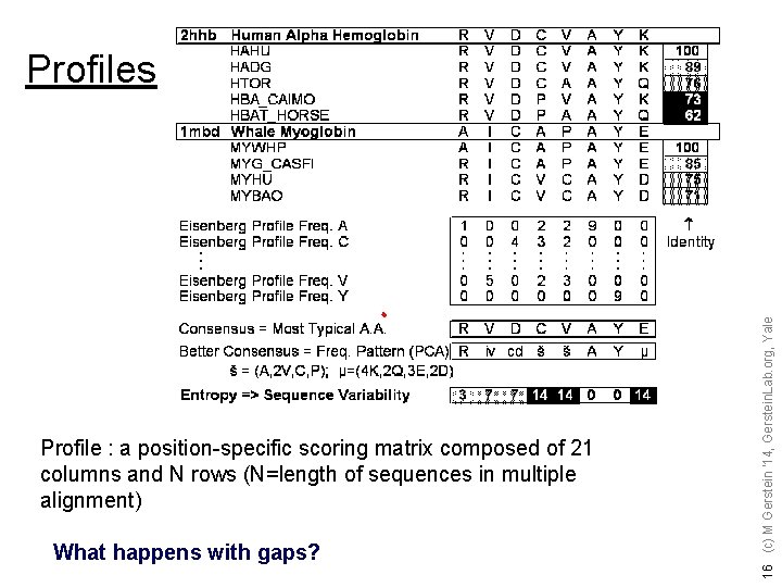 Profile : a position-specific scoring matrix composed of 21 columns and N rows (N=length