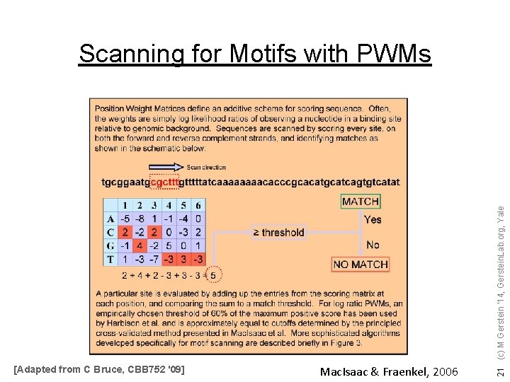 [Adapted from C Bruce, CBB 752 '09] Mac. Isaac & Fraenkel, 2006 21 (c)