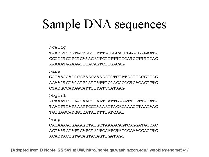 Sample DNA sequences >ce 1 cg TAATGTTTGTGCTGGTTTTTGTGGCATCGGGCGAGAATA GCGCGTGGTGTGAAAGACTGTTTTTTTGATCGTTTTCAC AAAAATGGAAGTCCACAGTCTTGACAG >ara GACAAAAACGCGTAACAAAAGTGTCTATAATCACGGCAG AAAAGTCCACATTGATTATTTGCACGGCGTCACACTTTG CTATGCCATAGCATTTTTATCCATAAG >bglr