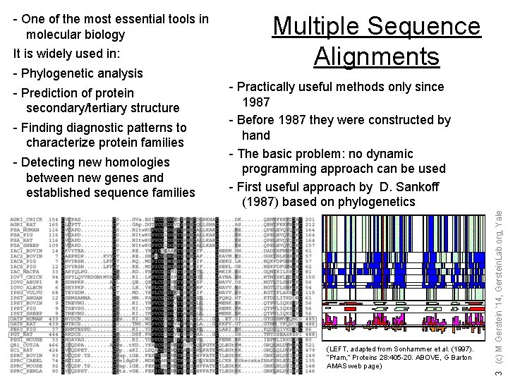 It is widely used in: - Phylogenetic analysis - Prediction of protein secondary/tertiary structure