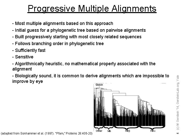 - Most multiple alignments based on this approach - Initial guess for a phylogenetic