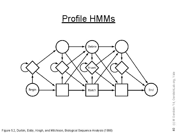 Figure 5. 2, Durbin, Eddy, Krogh, and Mitchison, Biological Sequence Analysis (1998) 40 (c)