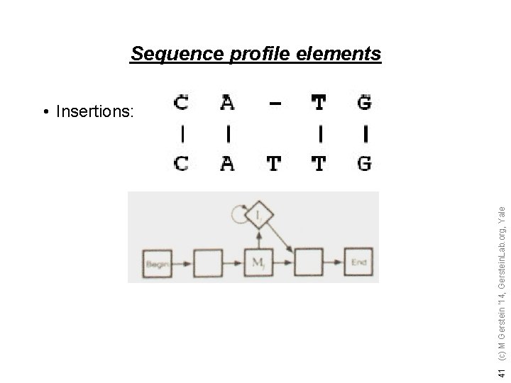 41 (c) M Gerstein '14, Gerstein. Lab. org, Yale Sequence profile elements • Insertions: