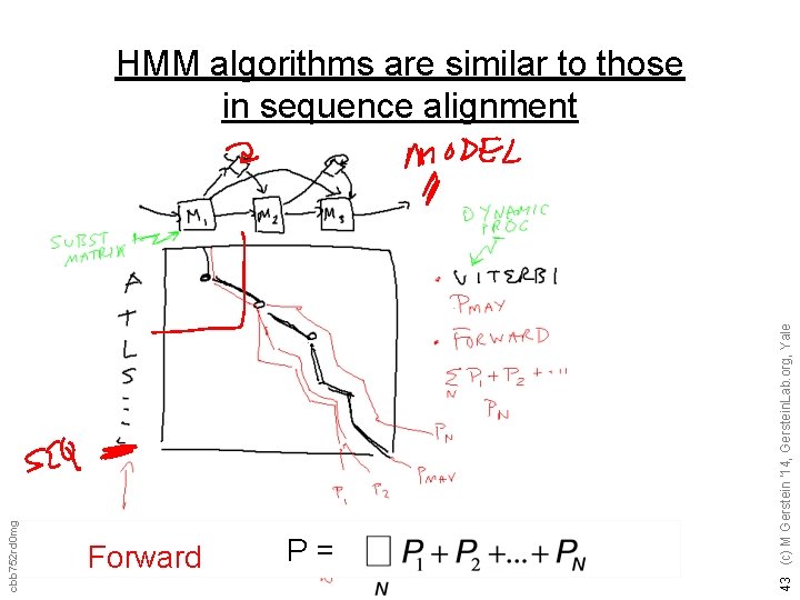Forward P= 43 (c) M Gerstein '14, Gerstein. Lab. org, Yale cbb 752 rd