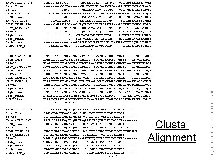 SGMPLVSANHGVTG-------MPVSAFTVILS--KAYPA---VGCPHPIYEILYNRQQHY -----ALTG-------MPVSAFTVILS--KAYPG---ATVPIKFDKILYNRQQHY -----GGPA-------YEMPAFTAELT--APFPP---VGGPVKFNKLLYNGRQNY HAYAGKKGKHGGPA-------YEMPAFTAELT--VPFPP---VGAPVKFDKLLYNGRQNY -----ELSA-------HATPAFTAVLT--SPLPA---SGMPVKFDRTLYNGHSGY ----GTPGRKGEPGE---AAYMYRSAFSVGLETRVTVP-----NVPIRFTKIFYNQQNHY ------RGPKGPPGE---SVEQIRSAFSVGLFPSRSFPP---PSLPVKFDKVFYNGEGHW -------GPPGPPGMTVNCHSKGTSAFAVKAN--ELPPA---PSQPVIFKEALHDAQGHF -----NIRD-------QPRPAFSAIRQ---NPMT---LGNVVIFDKVLTNQESPY -------D---YRATQKVAFSALRTINSPLR----PNQVIRFEKVITNANENY -------D---YKATQKIAFSATRTINVPLR----RDQTIRFDHVITNMNNNY -------V---RSGSAKVAFSAIRSTNHEPSEMSNRTMIIYFDQVLVNIGNNF ---ENALAPDFSKGS---YRYAPMVAFFASHTYGMTIP------GPILFNNLDVNYGASY. *.