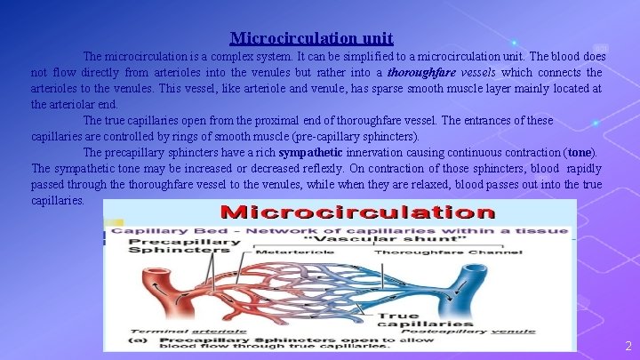 Microcirculation unit The microcirculation is a complex system. It can be simplified to a