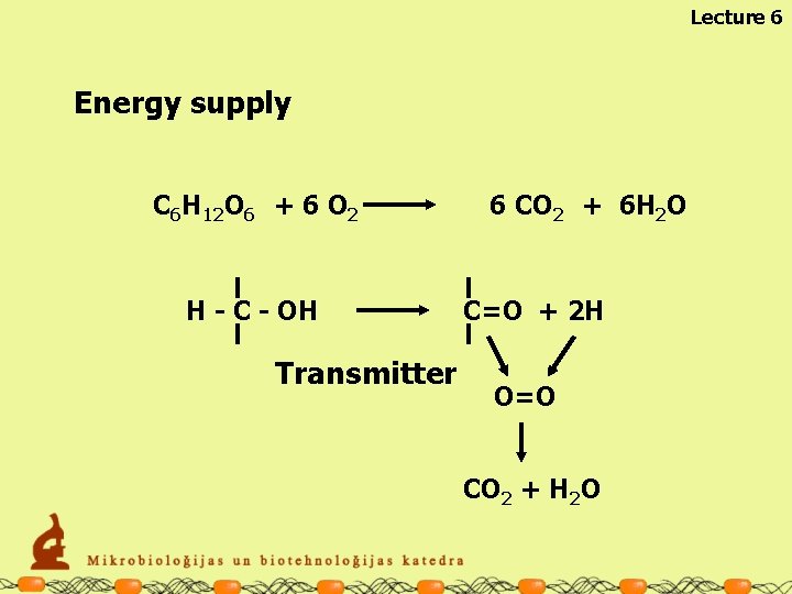 Lecture 6 Energy supply C 6 H 12 O 6 + 6 O 2