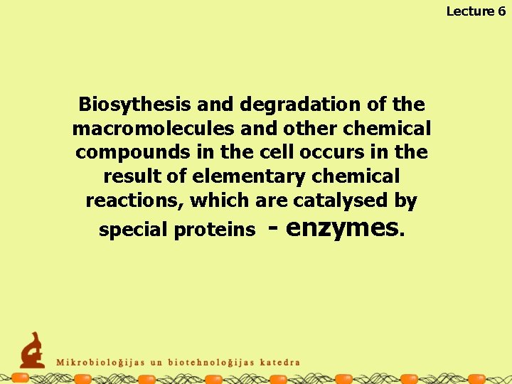 Lecture 6 Biosythesis and degradation of the macromolecules and other chemical compounds in the