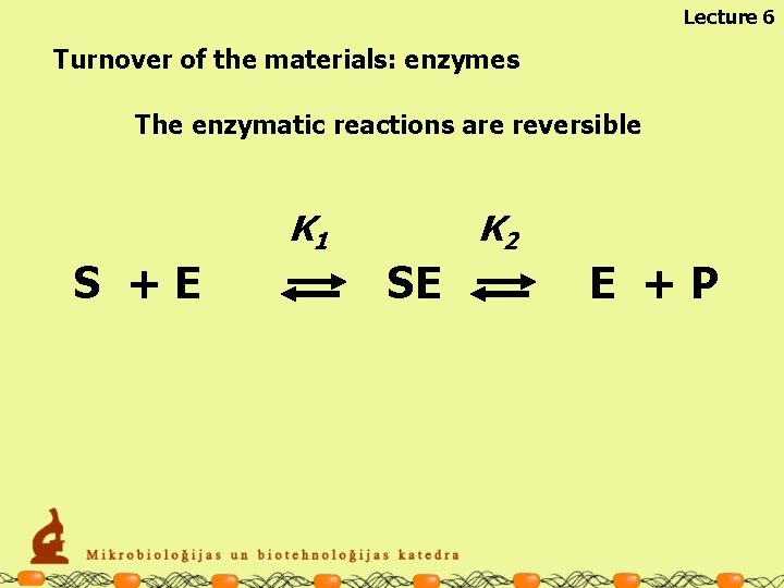 Lecture 6 Turnover of the materials: enzymes The enzymatic reactions are reversible K 1