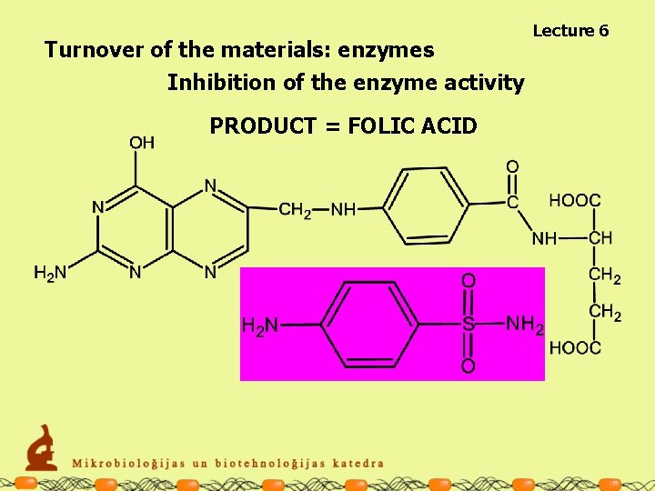 Turnover of the materials: enzymes Inhibition of the enzyme activity PRODUCT = FOLIC ACID