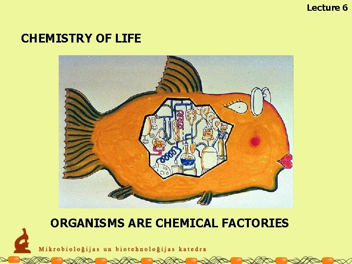 Lecture 6 CHEMISTRY OF LIFE ORGANISMS ARE CHEMICAL FACTORIES 