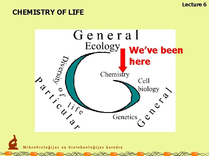 Lecture 6 CHEMISTRY OF LIFE We’ve been here 