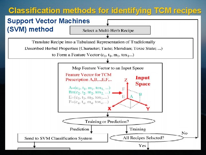 Classification methods for identifying TCM recipes Support Vector Machines (SVM) method 